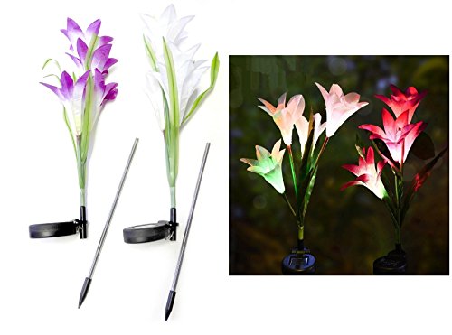 Outdoor Solar Flower Garden Stake Lights (2 Pack) Garden Lilly Flowers Multi Color LED Light Changing White and Purple Indoor-Outdoor