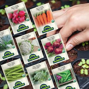 Organic Winter Vegetable Seeds Heirloom Seeds for Planting, Green Beans, Beets, Broccoli, Carrot, Cauliflower, Kale, Peas, Radish - Môpet Marketplace