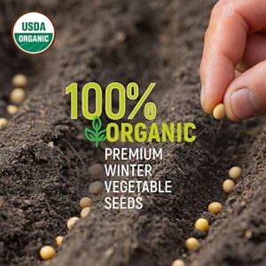 Organic Winter Vegetable Seeds Heirloom Seeds for Planting, Green Beans, Beets, Broccoli, Carrot, Cauliflower, Kale, Peas, Radish - Môpet Marketplace