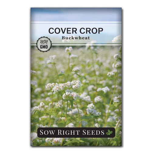 Sow Right Seeds - Annual Buckwheat Seed for Planting - Cover Crops to Plant in Your Home Vegetable Garden - Enriches Soil - Suppresses Weeds - Helps Erosion - Non-GMO Heirloom Seeds - Gardening Gift