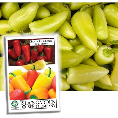 Santa Fe Grande Pepper Seeds for Planting, 50+ Heirloom Seeds Per Packet, (Isla's Garden Seeds), Non GMO Seeds, Botanical Name: Capsicum annuum, Great Home Garden Gift