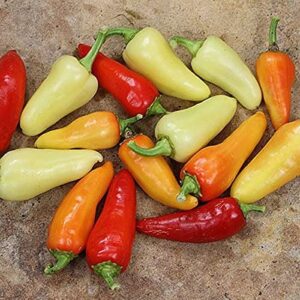 Santa Fe Grande Pepper Seeds for Planting, 50+ Heirloom Seeds Per Packet, (Isla's Garden Seeds), Non GMO Seeds, Botanical Name: Capsicum annuum, Great Home Garden Gift