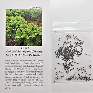 David's Garden Seeds Lettuce Oakleaf Starfighter (Green) 200 Non-GMO, Open Pollinated Seeds