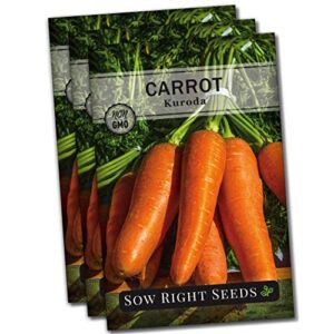 sow right seeds – kuroda carrot seed for planting – non-gmo heirloom packet with instructions to plant a home vegetable garden, great gardening gift (3)