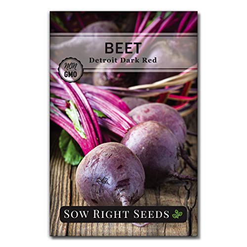 Sow Right Seeds - Root Vegetable Collection for Planting - Individual Packets Beet, Carrot, Kohlrabi, Radish, and Turnip, Non-GMO Heirloom Seeds to Plant an Outdoor Home Vegetable Garden