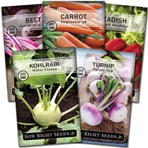 sow right seeds – root vegetable collection for planting – individual packets beet, carrot, kohlrabi, radish, and turnip, non-gmo heirloom seeds to plant an outdoor home vegetable garden