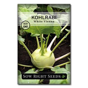 Sow Right Seeds - Root Vegetable Collection for Planting - Individual Packets Beet, Carrot, Kohlrabi, Radish, and Turnip, Non-GMO Heirloom Seeds to Plant an Outdoor Home Vegetable Garden