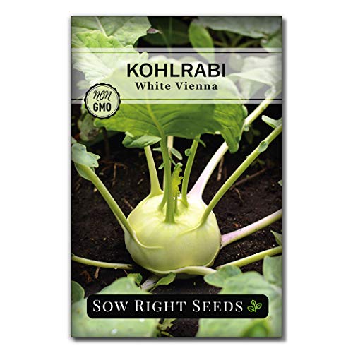 Sow Right Seeds - Root Vegetable Collection for Planting - Individual Packets Beet, Carrot, Kohlrabi, Radish, and Turnip, Non-GMO Heirloom Seeds to Plant an Outdoor Home Vegetable Garden