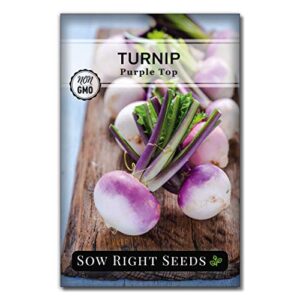 Sow Right Seeds - Root Vegetable Collection for Planting - Individual Packets Beet, Carrot, Kohlrabi, Radish, and Turnip, Non-GMO Heirloom Seeds to Plant an Outdoor Home Vegetable Garden