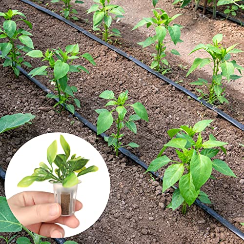 Jutom 60 Pieces Hydroponic Seeds Grow Sponges Pods Kit Root Plant Basket Seed Growing Kit Replacement Pod Cups Pot for Garden Indoor Herb Hydroponic Growing System