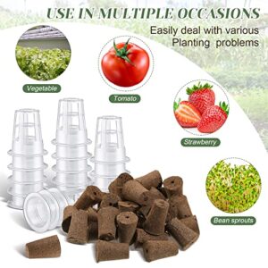 Jutom 60 Pieces Hydroponic Seeds Grow Sponges Pods Kit Root Plant Basket Seed Growing Kit Replacement Pod Cups Pot for Garden Indoor Herb Hydroponic Growing System