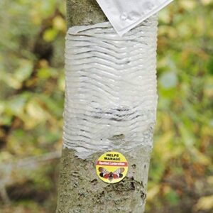 Tree Banding DIY Insect Adhesive Barrier Full Kit by Catchmaster - 4 Count 15 Oz 1 Spreader 1,000 ft. Roll Plastic Wrap, Ready for Use Outdoors. Weather-Proof Environment-Friendly Non-Toxic