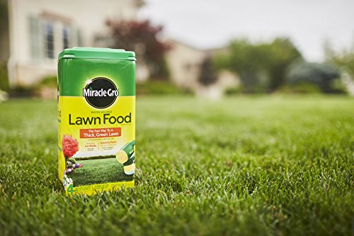 Miracle-Gro® Water Soluble Lawn Food, 5 lb.