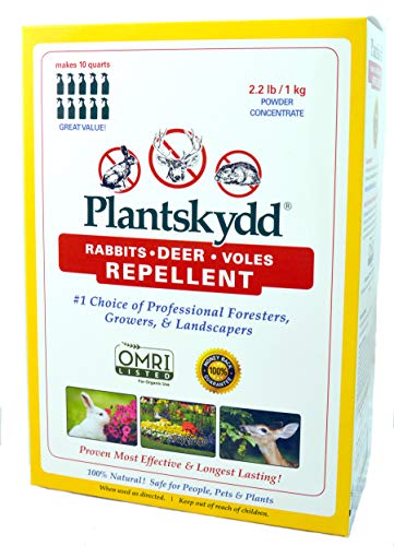 Plantskydd Animal Repellent - Repels Deer, Rabbits, Elk, Moose, Hares, Voles, Squirrels, Chipmunks and Other Herbivores; Soluble Powder Concentrate - 2.2 LB Box - Makes 2.5 Gallon Liquid (PSP-R2)