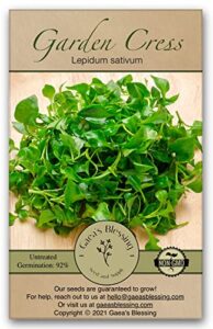 gaea’s blessing seeds – curled cress seeds (3.0g) – non-gmo seeds with easy to follow planting instructions – heirloom garden cress – pepper cress – 93% germination rate