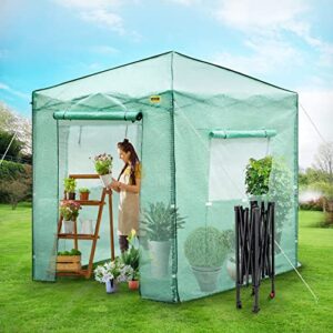 vevor 8’x 6’x 8′ pop-up greenhouse, set up in minutes, portable greenhouse with doors & windows. high strength pe cover & powder-coated steel construction