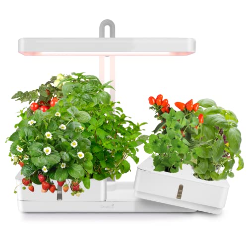 GrowLED Indoor Garden Hydroponic Growing System: Plant Germination Kit Aeroponic Herb Vegetable Growth Lamp Countertop with LED Grow Light - Hydrophonic Planter Grower Harvest Veggie Lettuce