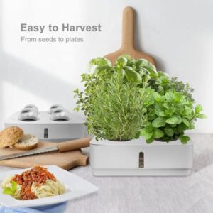 GrowLED Indoor Garden Hydroponic Growing System: Plant Germination Kit Aeroponic Herb Vegetable Growth Lamp Countertop with LED Grow Light - Hydrophonic Planter Grower Harvest Veggie Lettuce