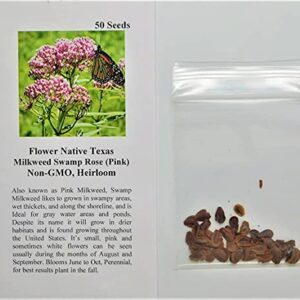 David's Garden Seeds Flower Native Texas Milkweed Swamp Rose 4523 (Pink) 50 Non-GMO, Heirloom Seeds