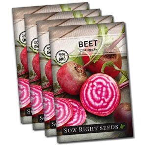 sow right seeds – chioggia beet seed for planting – non-gmo heirloom packet with instructions to plant a home vegetable garden – great gardening gift (4)