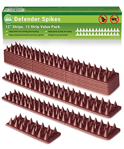 De-Bird: Defender Spikes, Cat and Bird Deterrent - Outdoor Pest Defender to Keep Off Pigeon, Squirrel, Woodpecker & More, Plastic Deterrent Anti Theft Climb Strips - 12pk [12 Foot]