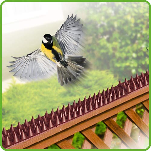 De-Bird: Defender Spikes, Cat and Bird Deterrent - Outdoor Pest Defender to Keep Off Pigeon, Squirrel, Woodpecker & More, Plastic Deterrent Anti Theft Climb Strips - 12pk [12 Foot]