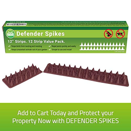 De-Bird: Defender Spikes, Cat and Bird Deterrent - Outdoor Pest Defender to Keep Off Pigeon, Squirrel, Woodpecker & More, Plastic Deterrent Anti Theft Climb Strips - 12pk [12 Foot]