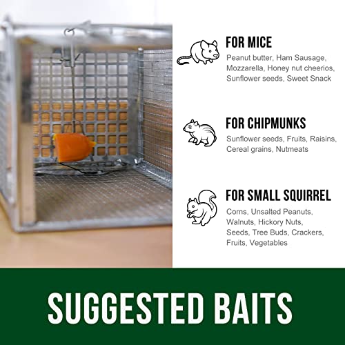 Garsum Humane Mouse Trap, Squirrel Trap, Live Animal Trap, Rodent Cage Catch Mice, Squirrels, Chipmunks, Hamsters for Indoor and Outdoor, Catch and Release, 1 Trap