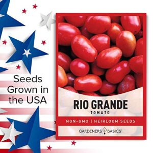 Rio Grande Tomato Seeds for Planting Heirloom Non-GMO Seeds for Home Garden Vegetables Makes a Great Gift for Gardening by Gardeners Basics