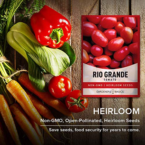 Rio Grande Tomato Seeds for Planting Heirloom Non-GMO Seeds for Home Garden Vegetables Makes a Great Gift for Gardening by Gardeners Basics