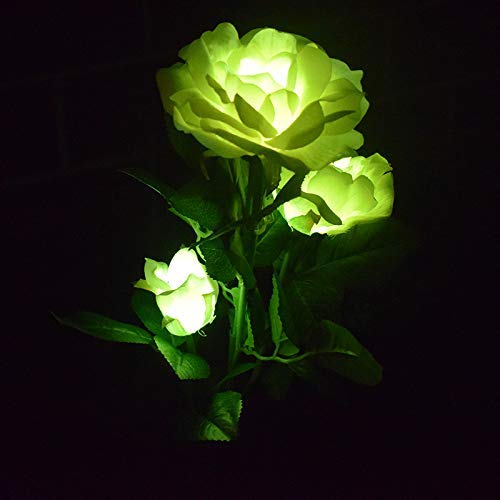 KANYEE Garden Outdoor Solar Lights Decorative Landscape Light Waterproof Simulation Rose Flower LED Stake Path Lights Yard Patio Lawn Night Lighting 4PCS