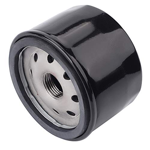 Panari AM125424 492932 696854 492932S 842921 795890 Oil Filter 2Pack