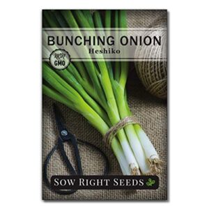 sow right seeds – heshiko bunching japanese green onion seeds for planting – non-gmo heirloom seeds with instructions to plant and grow a kitchen garden, indoor or outdoor; great gardening gift