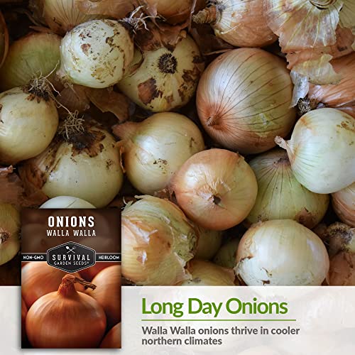 Survival Garden Seeds - Walla Walla Onion Seed for Planting - Packet with Instructions to Plant and Grow Deliciously Sweet Long Day Onions in Your Home Vegetable Garden - Non-GMO Heirloom Variety