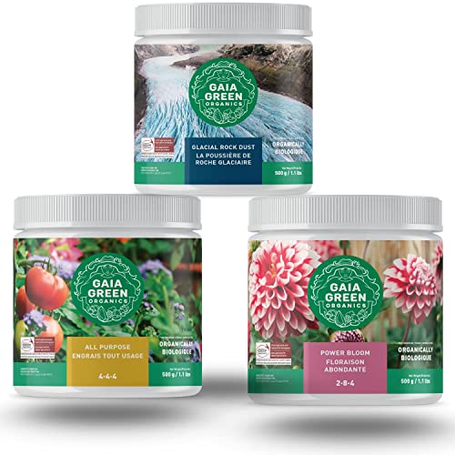 Gaia Green 4-4-4 All Purpose Fertilizer, Glacial Rock Dust, Gaia Green 2-8-4 Power Bloom Organic Plant Nutrients | Works Like Magic (500g Tubs) (Combo)