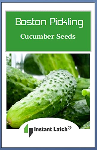 100 Boston Pickling Cucumber Seeds | Non-GMO | Fresh Garden Seeds