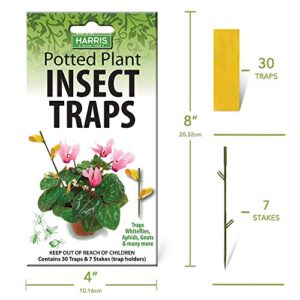 Harris Potted Plant Insect Traps for Gnats, Aphids, Whiteflies and More (30 Traps, 7 Stakes)