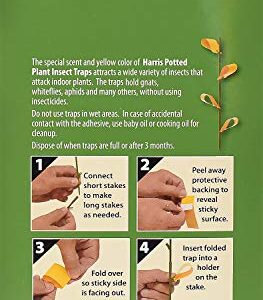 Harris Potted Plant Insect Traps for Gnats, Aphids, Whiteflies and More (30 Traps, 7 Stakes)