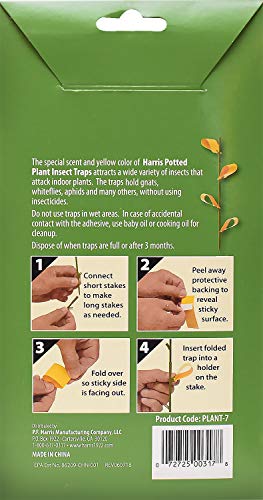 Harris Potted Plant Insect Traps for Gnats, Aphids, Whiteflies and More (30 Traps, 7 Stakes)