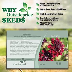 Outsidepride Annual Scabiosa Red Pincushion Garden Cut Flowers for Arrangements, Drying, & Pressing - 200 Seeds