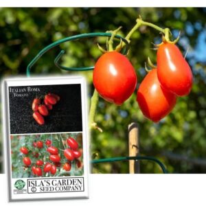 “italian roma” tomato seeds for planting, 25+ heirloom seeds per packet, (isla’s garden seeds), non gmo seeds, botanical name: solanum lycopersicum, great home garden gift