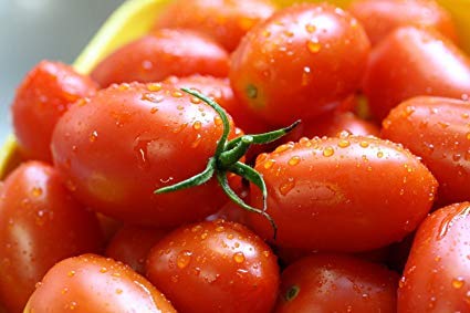 "Italian Roma" Tomato Seeds for Planting, 25+ Heirloom Seeds Per Packet, (Isla's Garden Seeds), Non GMO Seeds, Botanical Name: Solanum lycopersicum, Great Home Garden Gift