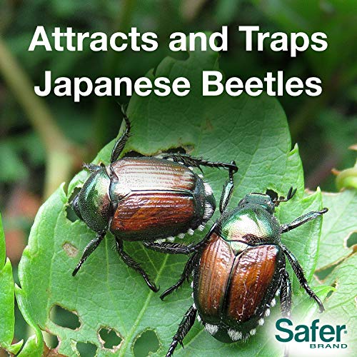 Safer Brand 70102 Japanese Beetle Trap with Attractant