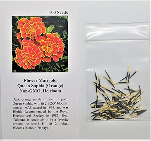 David's Garden Seeds Flower Marigold Queen Sophia 1278 (Orange) 100 Non-GMO, Heirloom Seeds