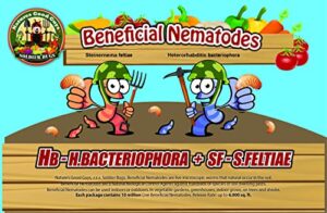 bug sales 10 million live beneficial nematodes hb & sf – kills over 200 different species of soil dwelling and wood boring insects.