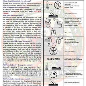 Bug Sales 10 Million Live Beneficial Nematodes Hb & Sf - Kills Over 200 Different Species of Soil Dwelling and Wood Boring Insects.