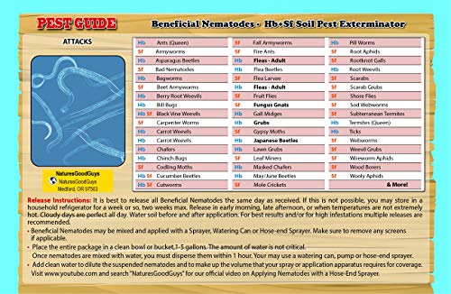 Bug Sales 10 Million Live Beneficial Nematodes Hb & Sf - Kills Over 200 Different Species of Soil Dwelling and Wood Boring Insects.