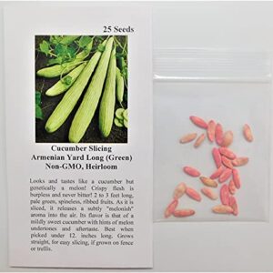 David's Garden Seeds Cucumber Slicing Armenian Yard Long FBA-9184 (Green) 25 Non-GMO, Heirloom Seeds