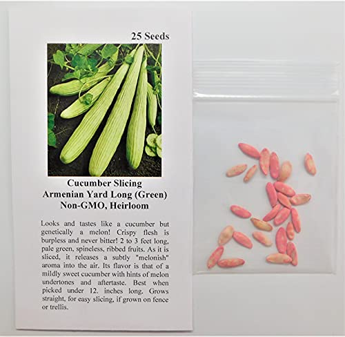 David's Garden Seeds Cucumber Slicing Armenian Yard Long FBA-9184 (Green) 25 Non-GMO, Heirloom Seeds