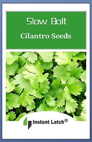 100 Cilantro Seeds | Non-GMO | Fresh Garden Seeds